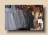 P1090437 (Medium)